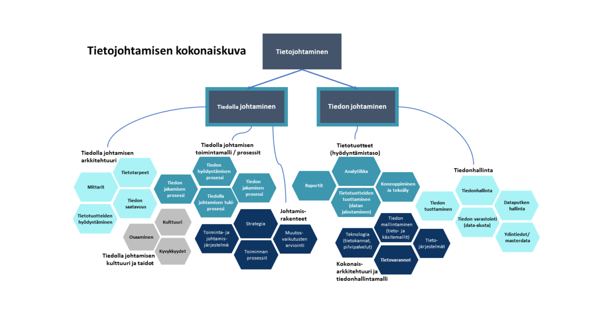 Tieto-osaava, tietojohtamisen kokonaiskuva